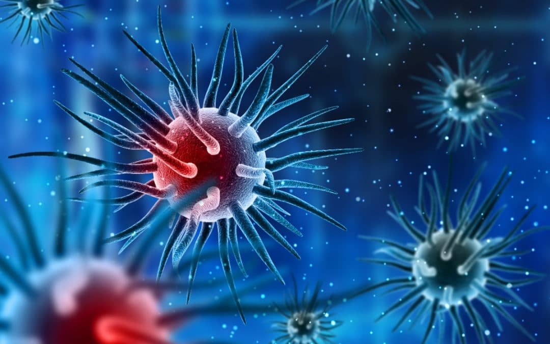 IMMUNITÉ ET COVID : PART 1