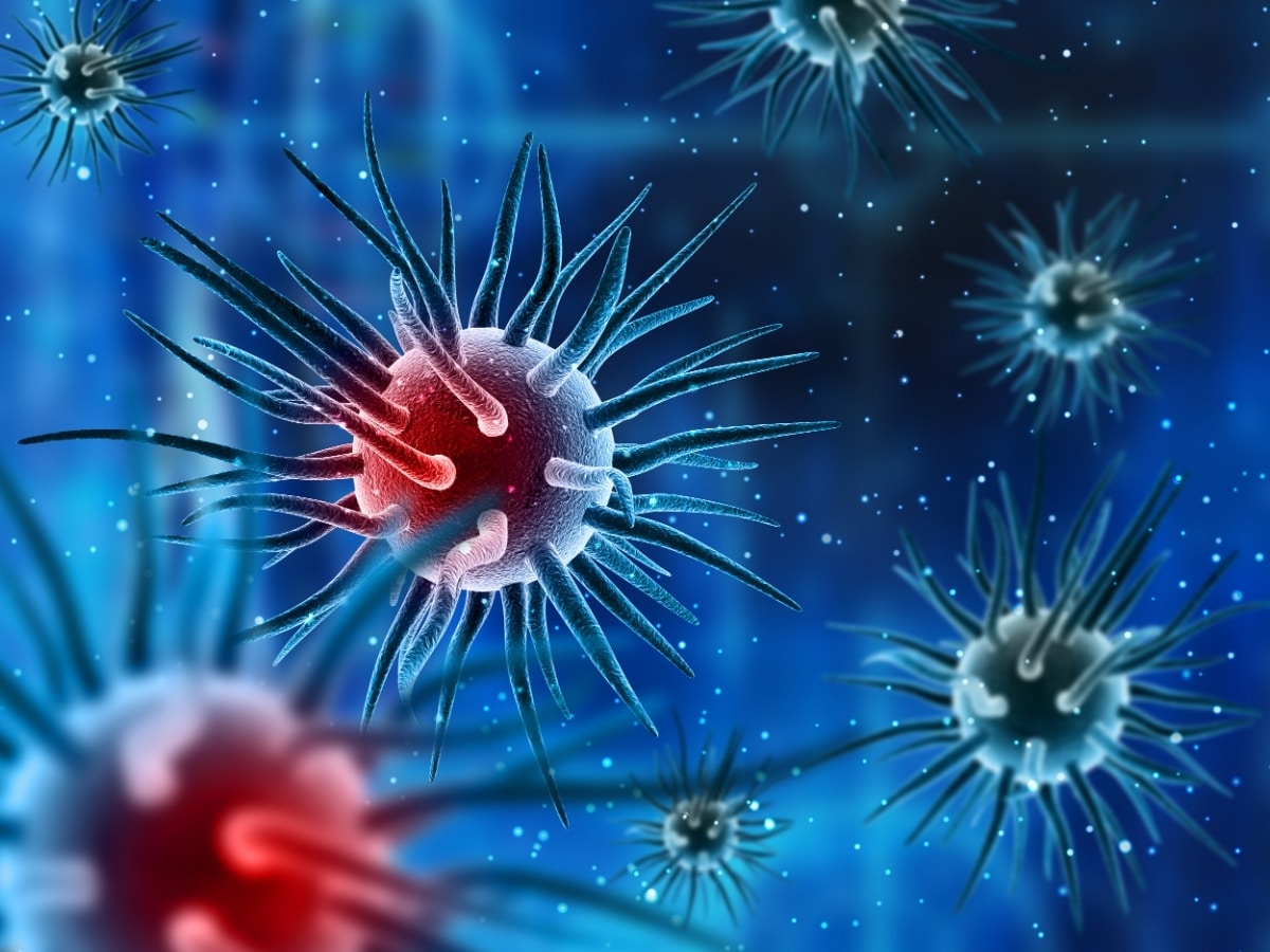 Virus Immunité et COVID Amaël MALLEMONT Pôle Santé les Pléiades
