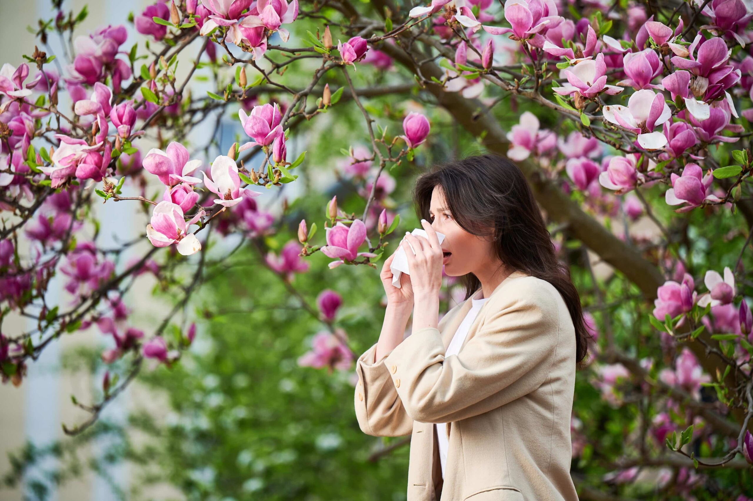 Rhinite allergique saisonnière